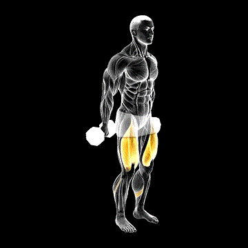 Dumbbell Hack Squat demonstration