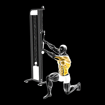 Cable Kneeling High-Low Anti-Rotation Chop demonstration