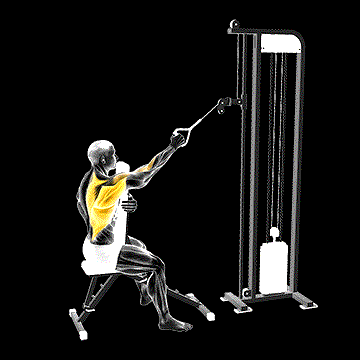 Cable One-Arm High Row (w/ Chest Support) demonstration