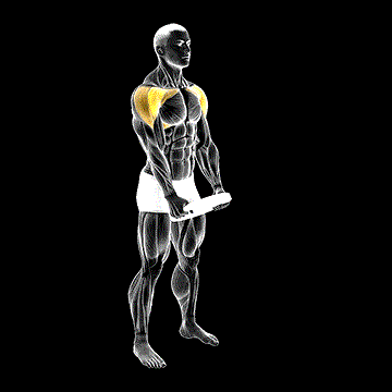 Weighted Front Raise Hold demonstration