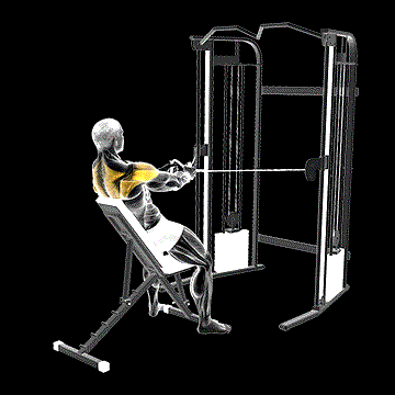 Cable Incline Rear Delt Fly demonstration