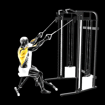 Cable High Row (w/ Chest Support) demonstration