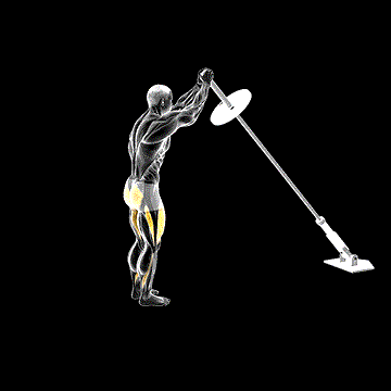Landmine Overhead Rear Lunge demonstration