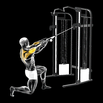 Cable Half-Kneeling Face Pull demonstration
