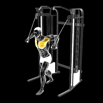 Cable Standing Crossover demonstration
