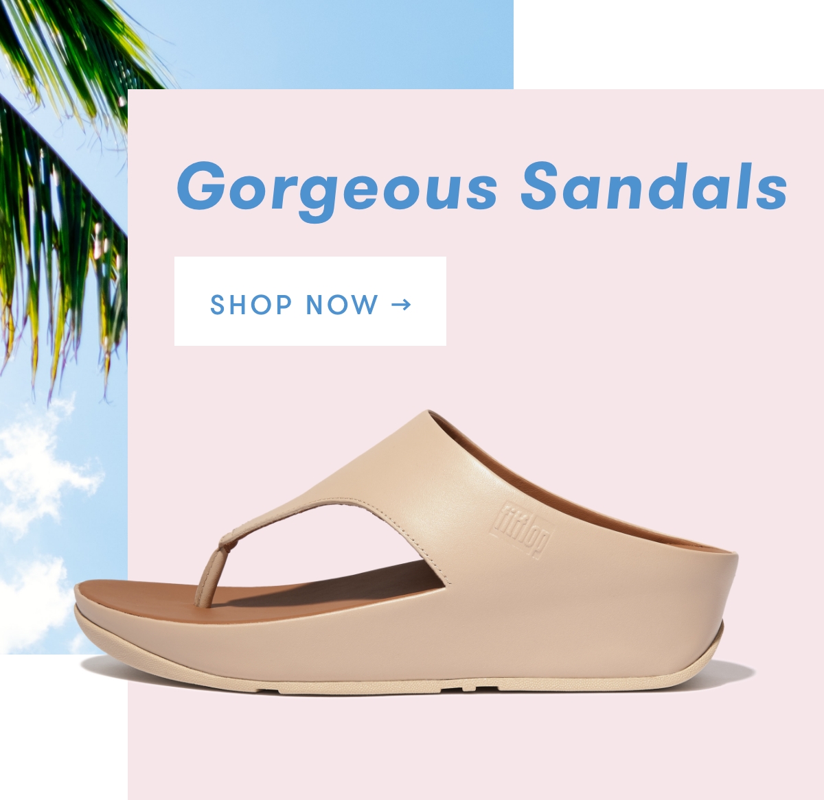 Gorgeous Sandals