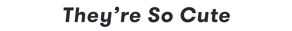 Because They're Perfect Headline