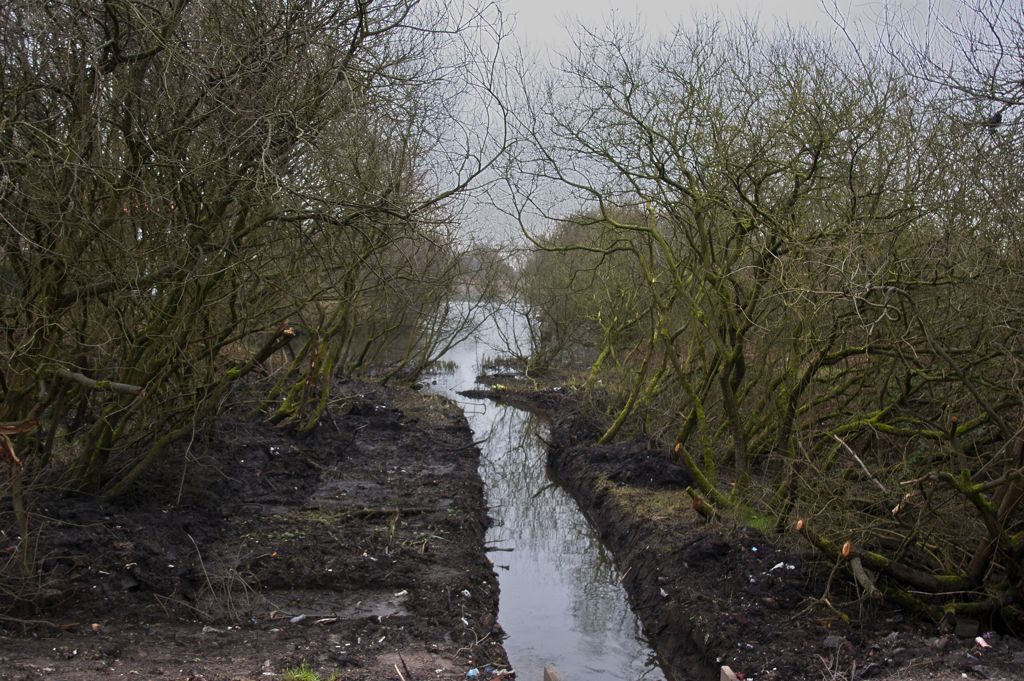 Private fishing at Linnyshaw