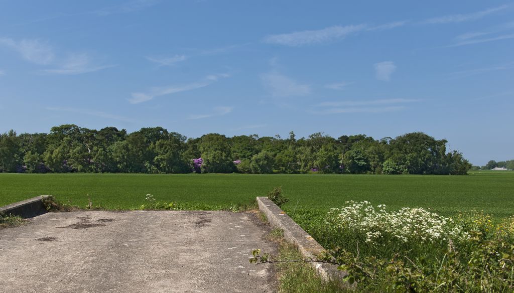 A farm access bridge over Maghull Hey Cop with Carr Wood beyond