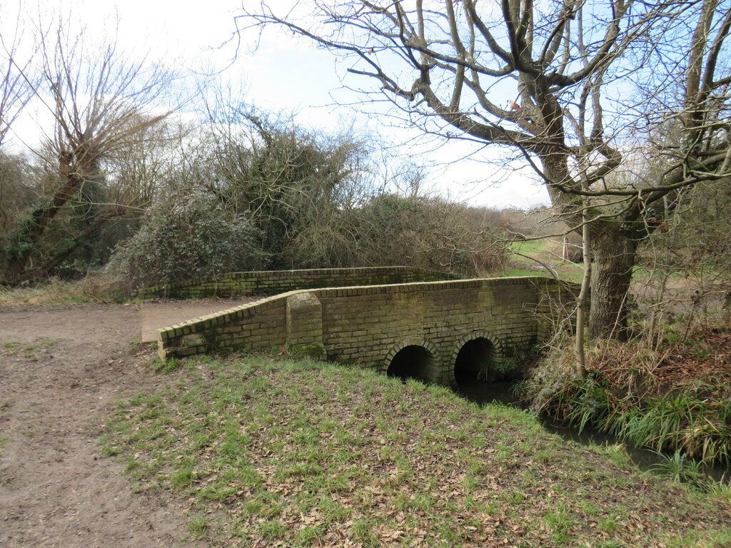 Bridge over The Rye Brook, Ashtead Common