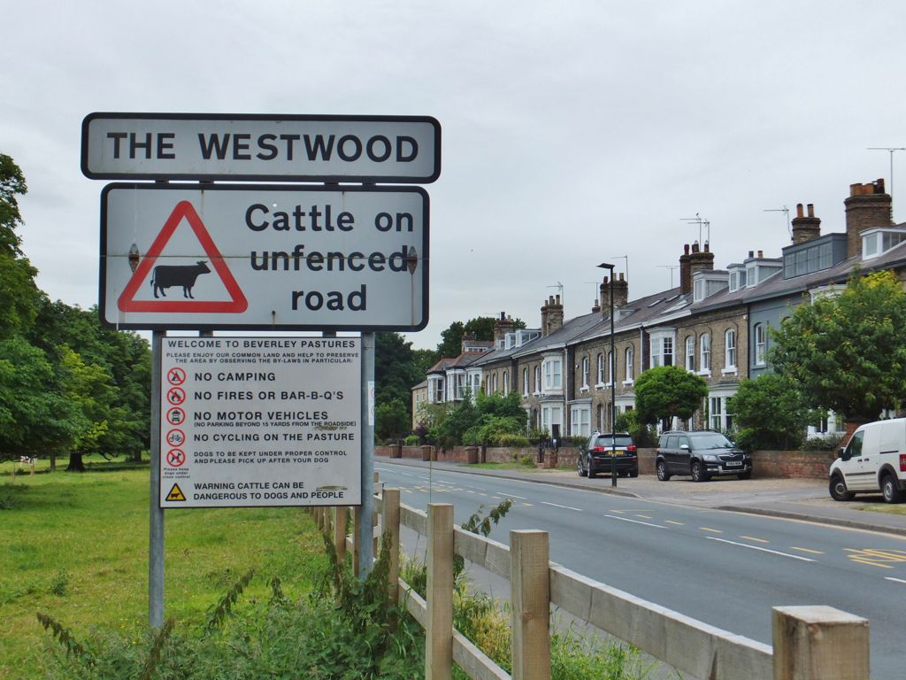 York Road, Beverley, Yorkshire