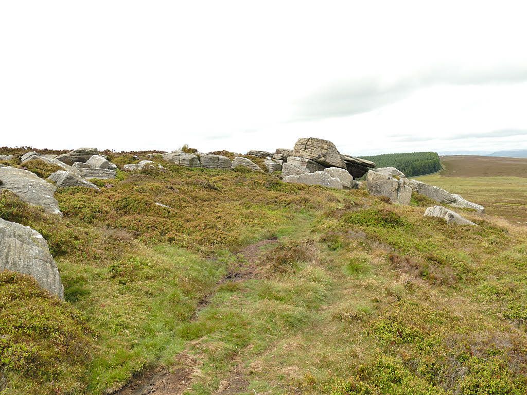 East Buckstones, looking west