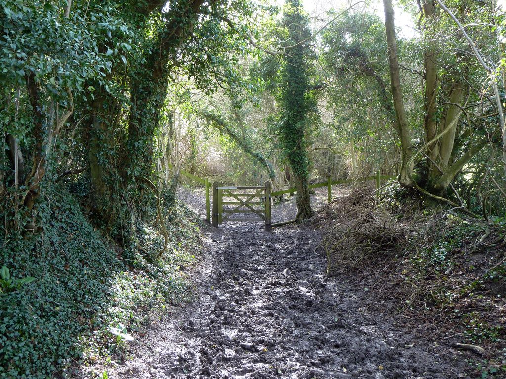 Bridleway 2251, Storrington and Sullington