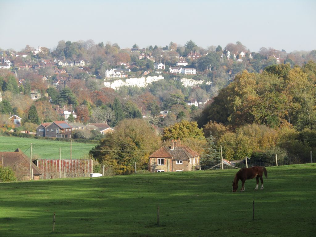 Guildford from Littleton