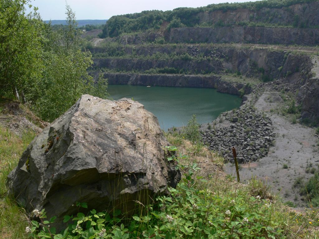 Granite boulder at Whitwick Quarry