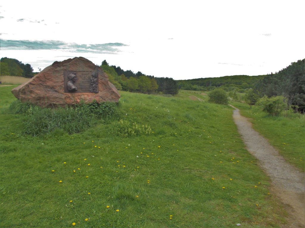 Ollerton Pit Woods