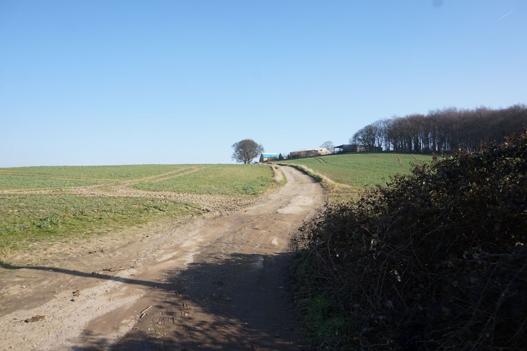 Track leading to Brierley Lodge, Grimethorpe