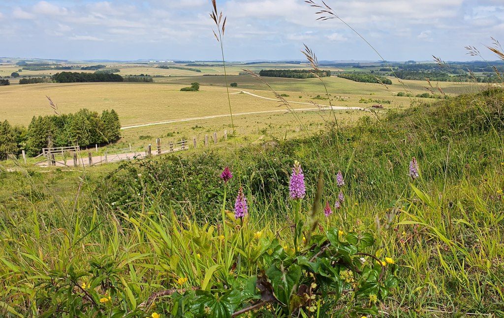 Sidbury Hill, Tidworth, Wiltshire