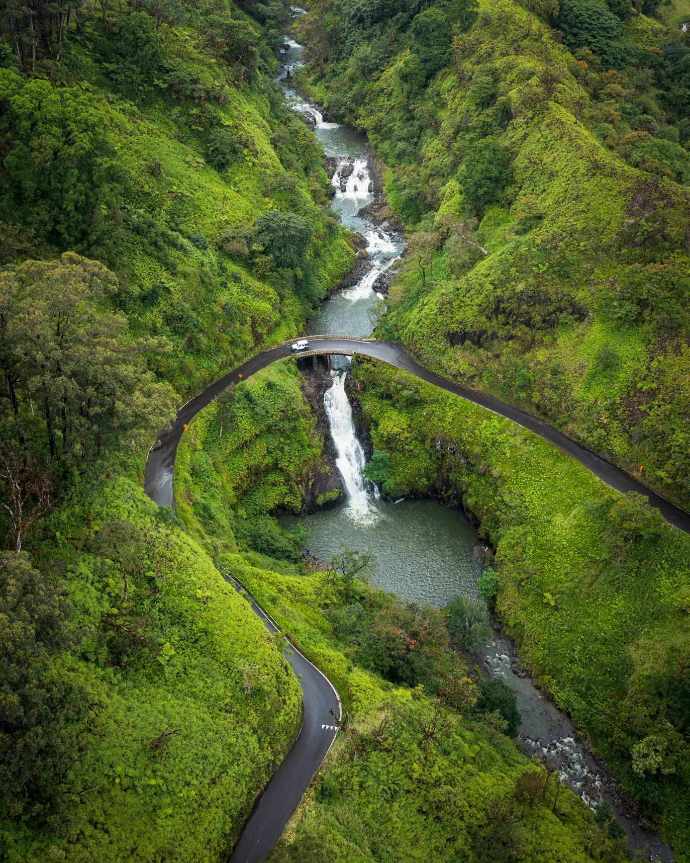 guided tour road to hana