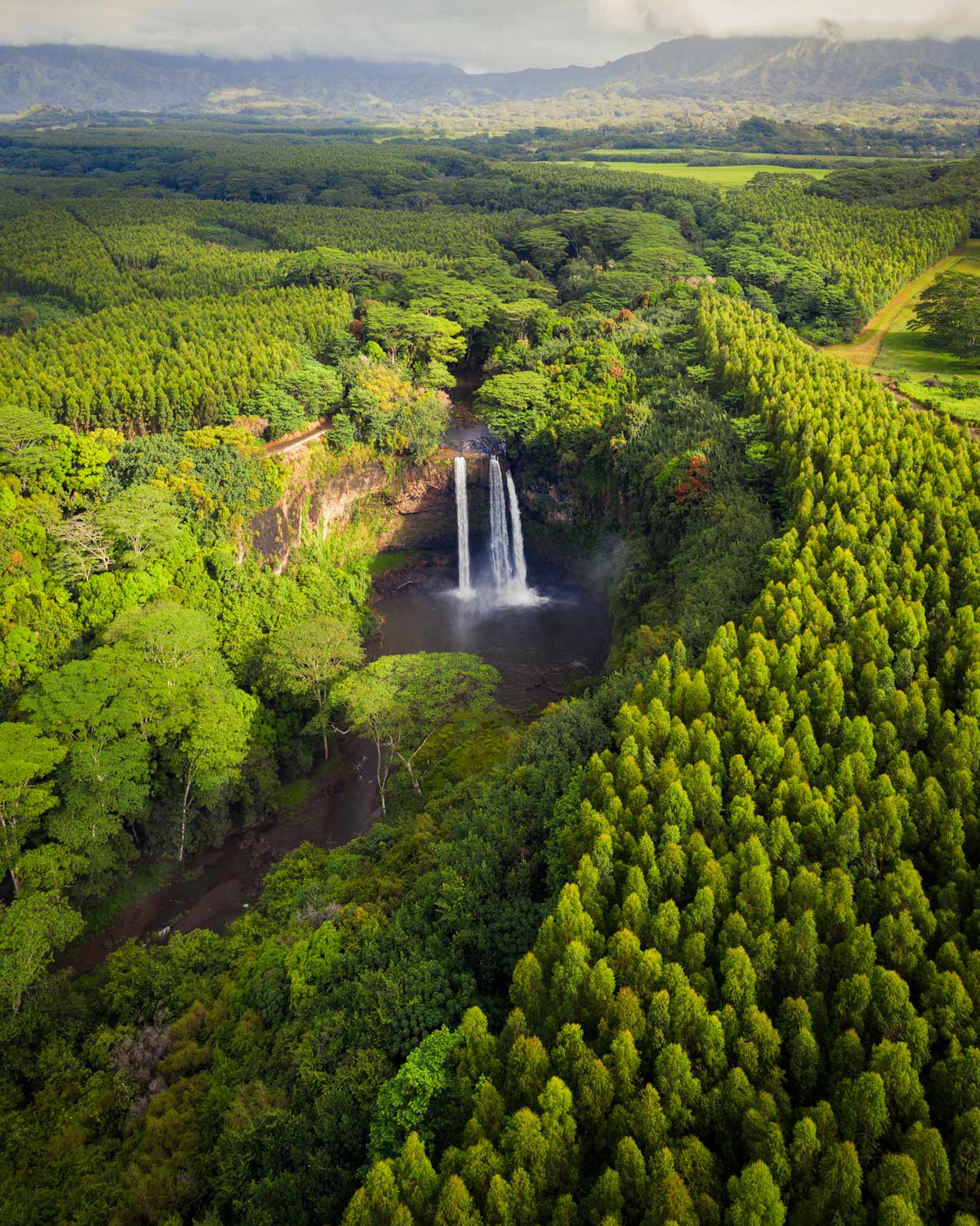 Wailua Falls & Landscape of Wailua River State Park Forest  Explorest