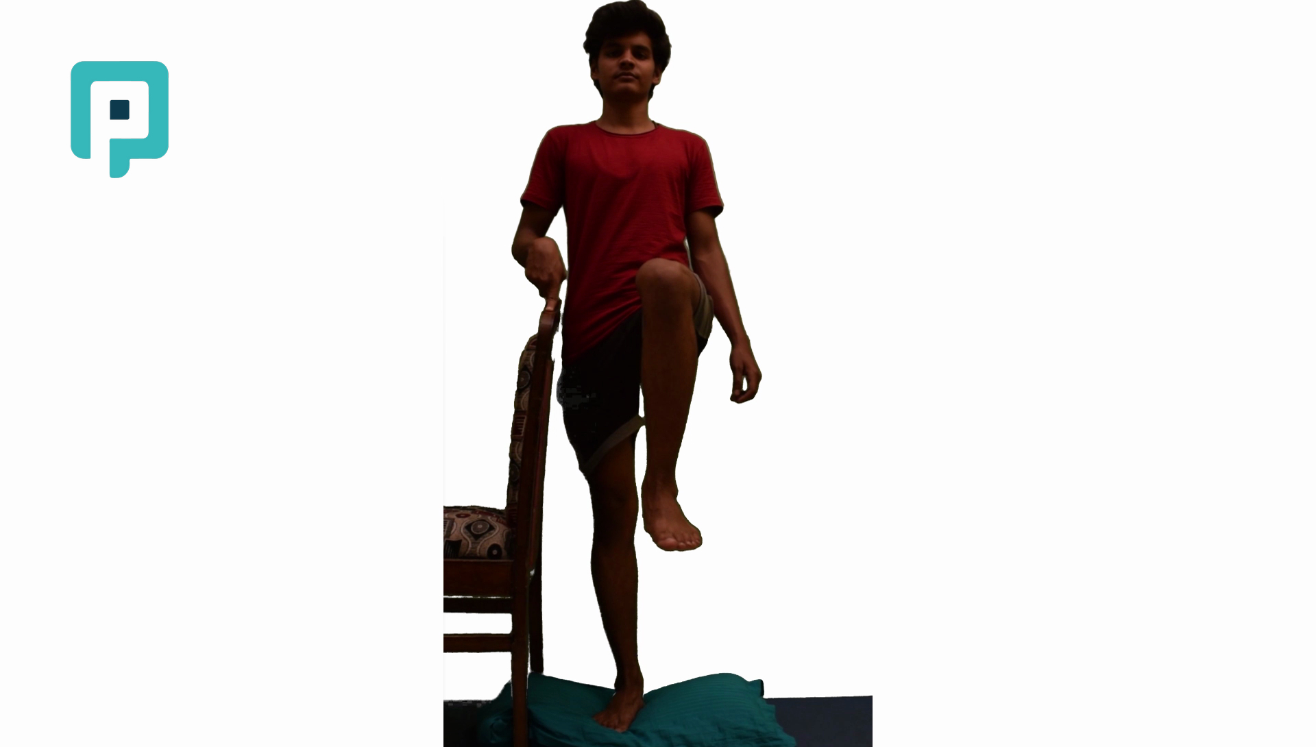 single leg balance on pillow with support - beginner Lower Body exercise