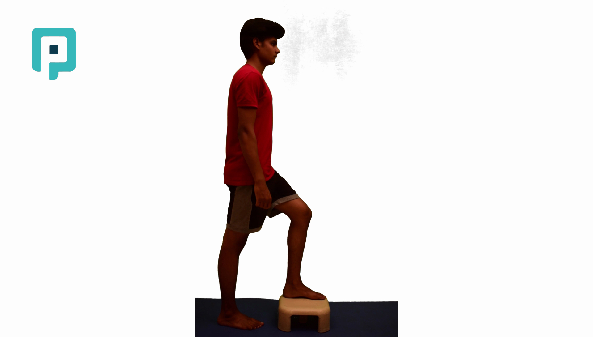 forward step up with core stabilization - beginner Lower Body exercise