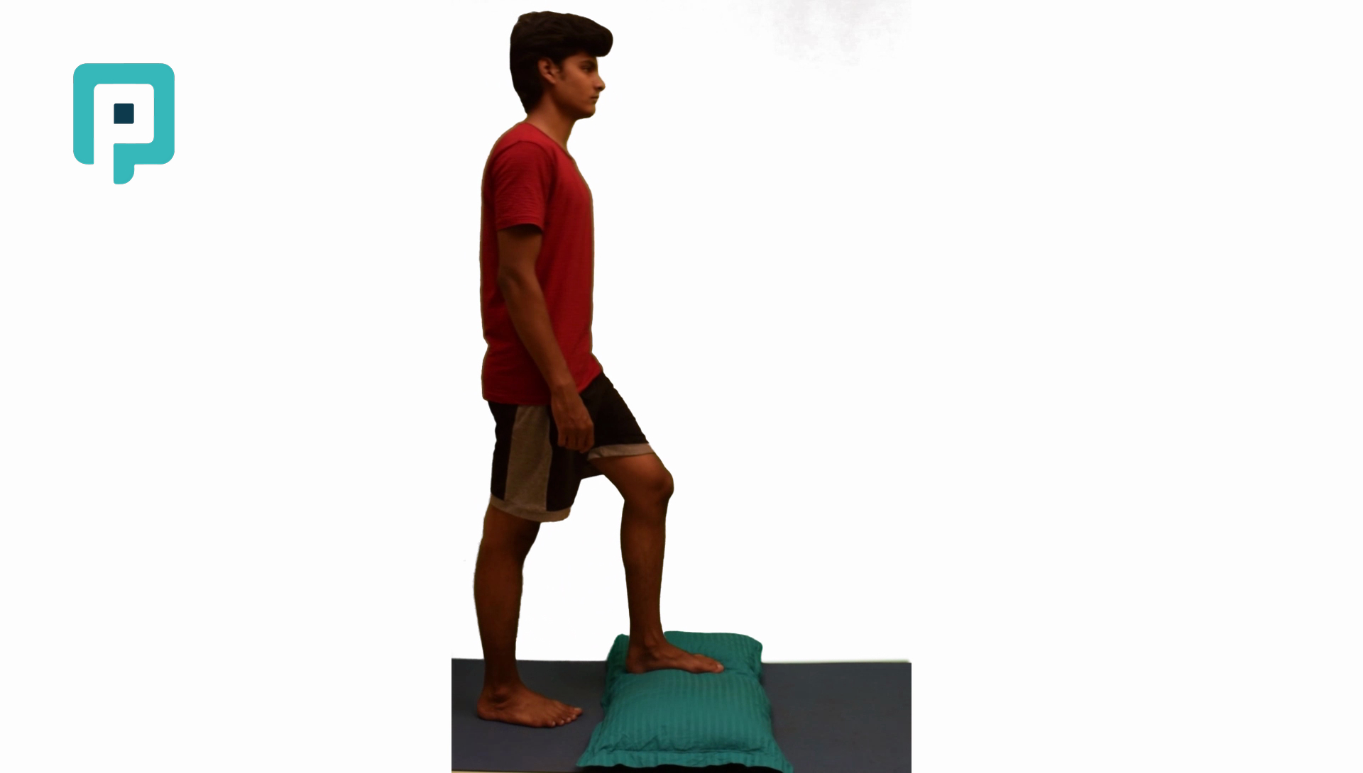single leg step up and down on pillow forward - beginner Lower Body exercise