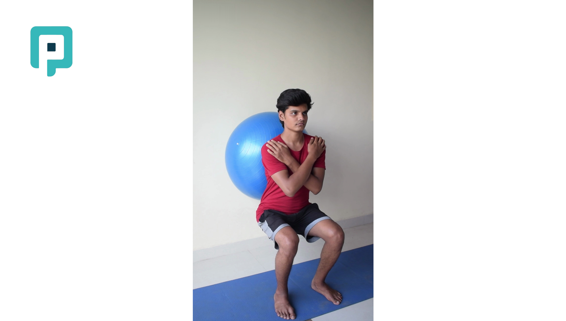 wall squat with swiss ball - beginner Lower Body exercise
