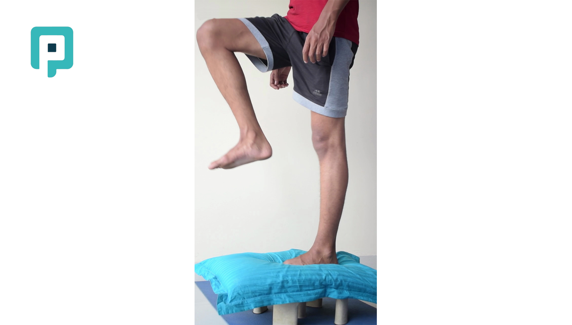 lateral step up onto pillow with single leg stance - beginner Lower Body exercise
