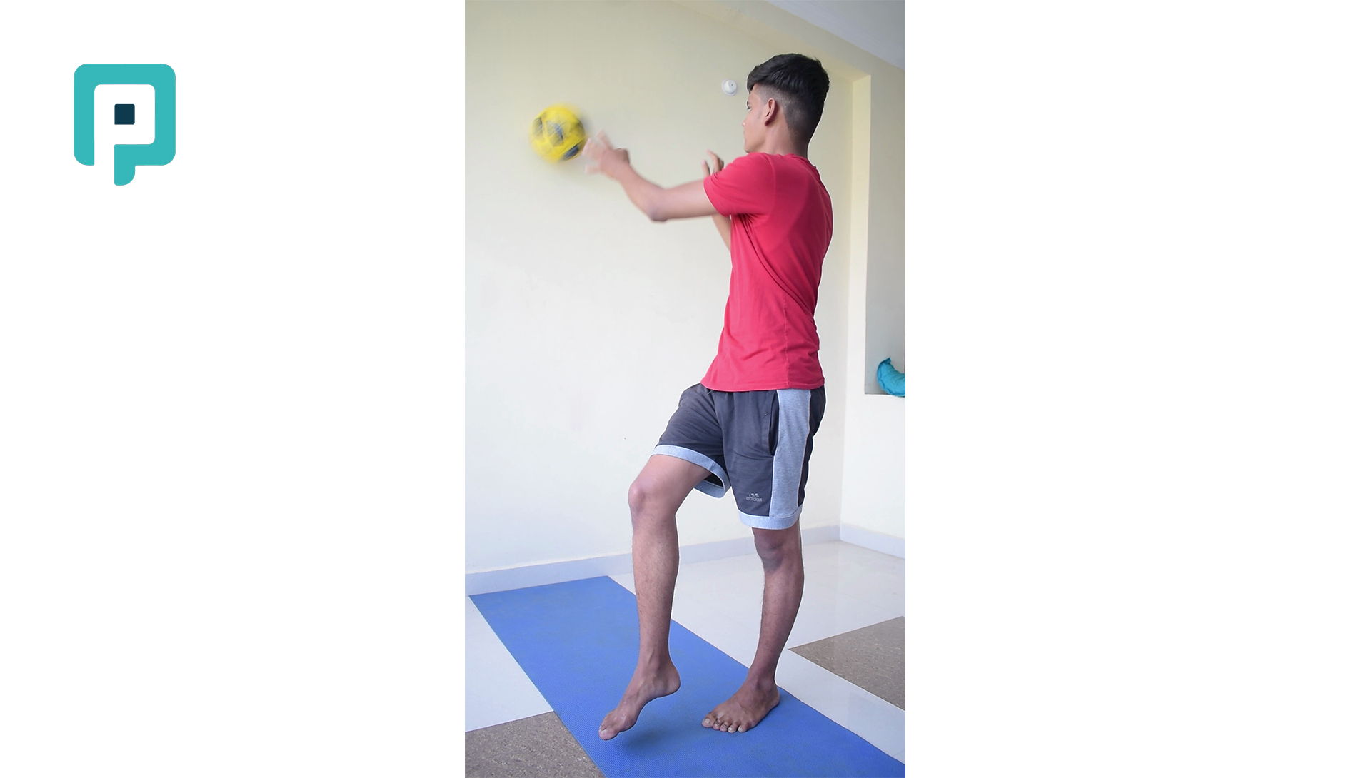 single leg standing ball toss against wall - beginner Lower Body exercise