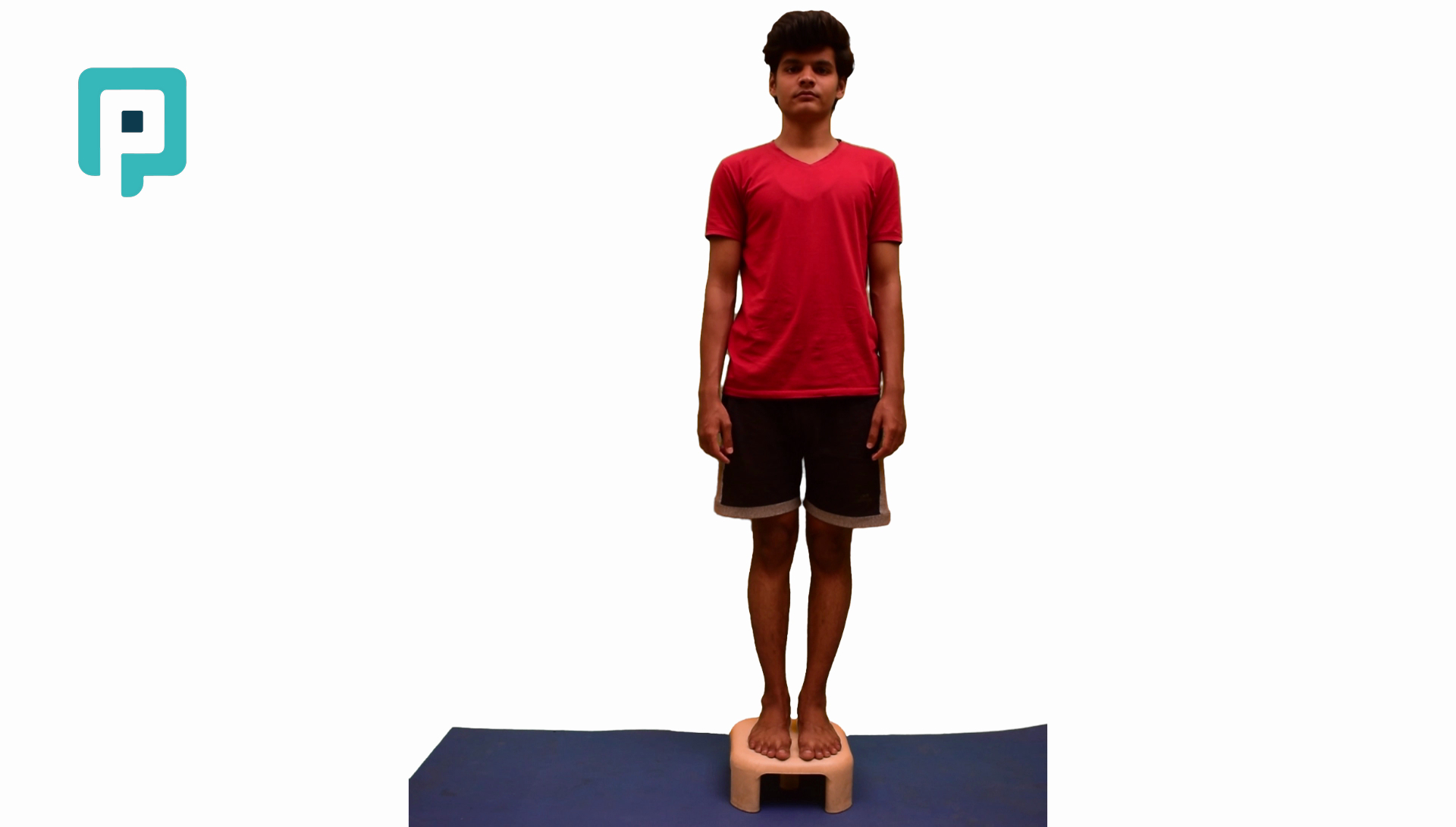 lateral step up with hip stabilization - beginner Lower Body exercise