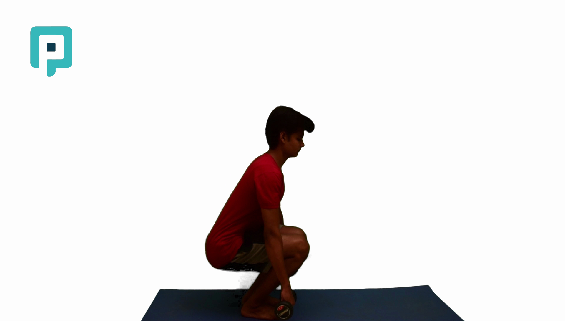 dumbbell squat - beginner Lower Body exercise