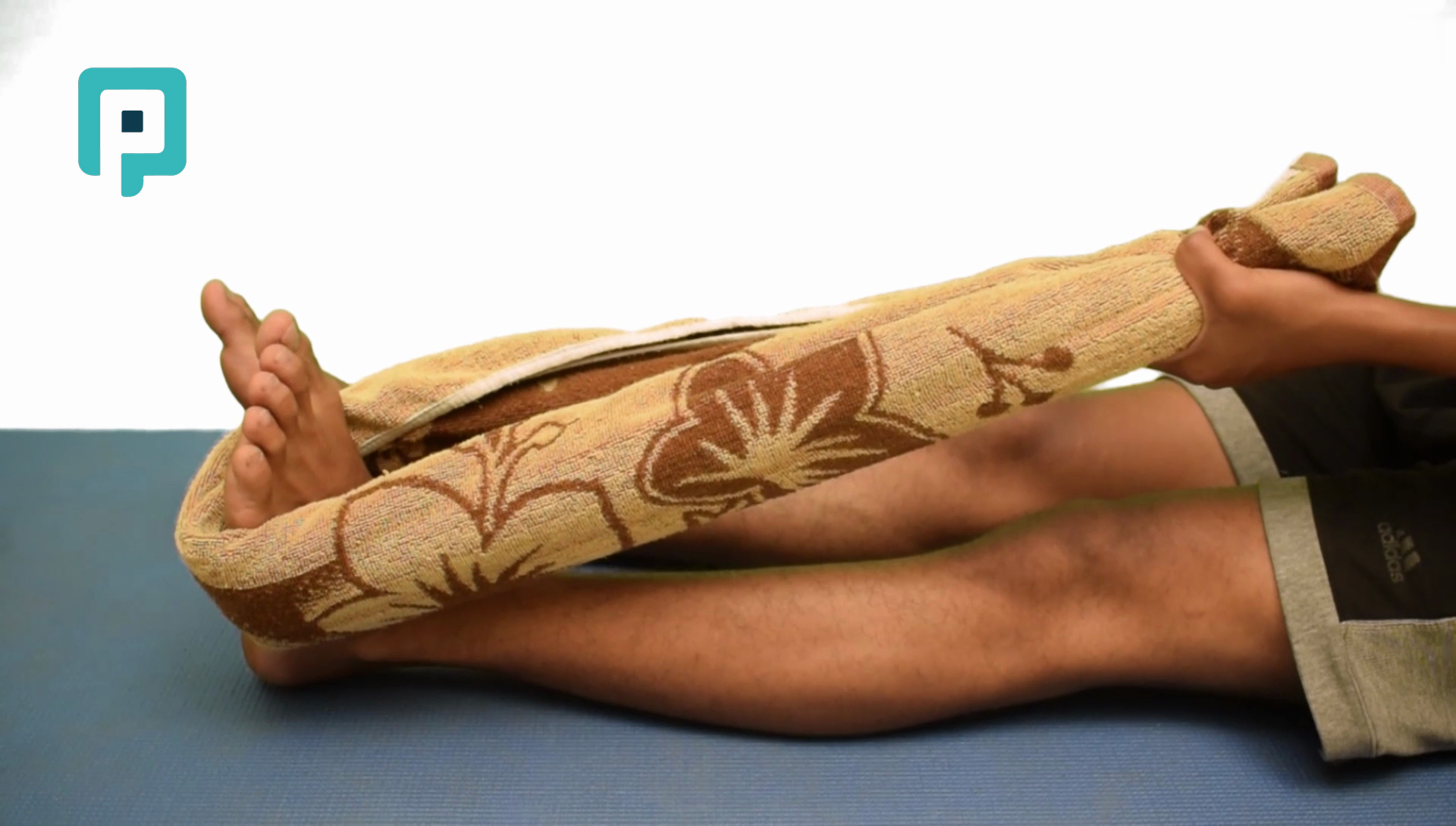 calf stretch with towel in long sitting - beginner Lower Body exercise