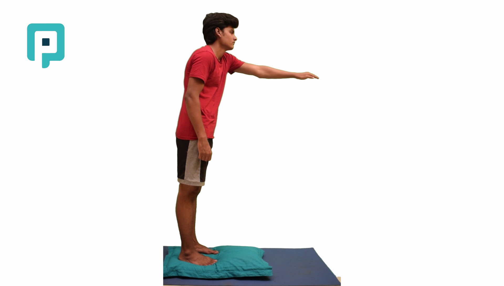single pillow standing reach with narrow base - beginner Lower Body exercise