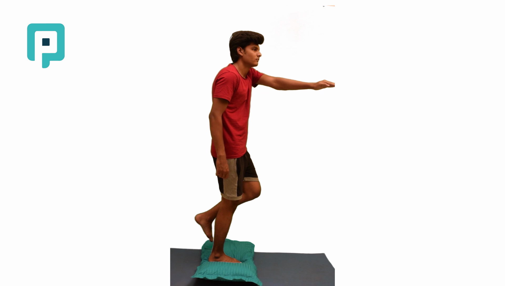 single leg stance on pillow with reaching - beginner Lower Body exercise