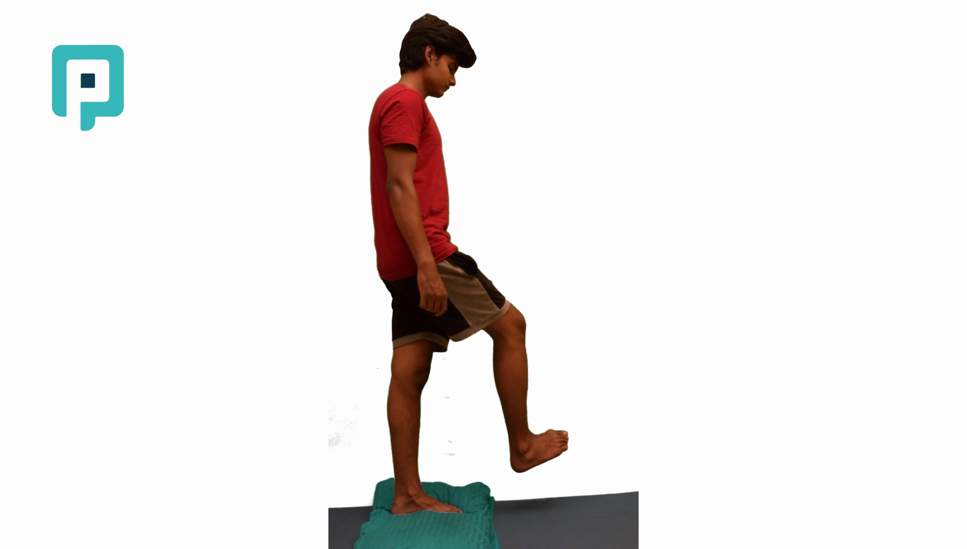 single leg standing balance with reaching on pillow - beginner Lower Body exercise