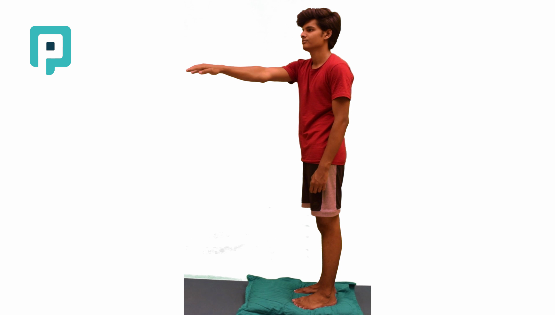 single leg standing pillow reach with narrow base - beginner Lower Body exercise