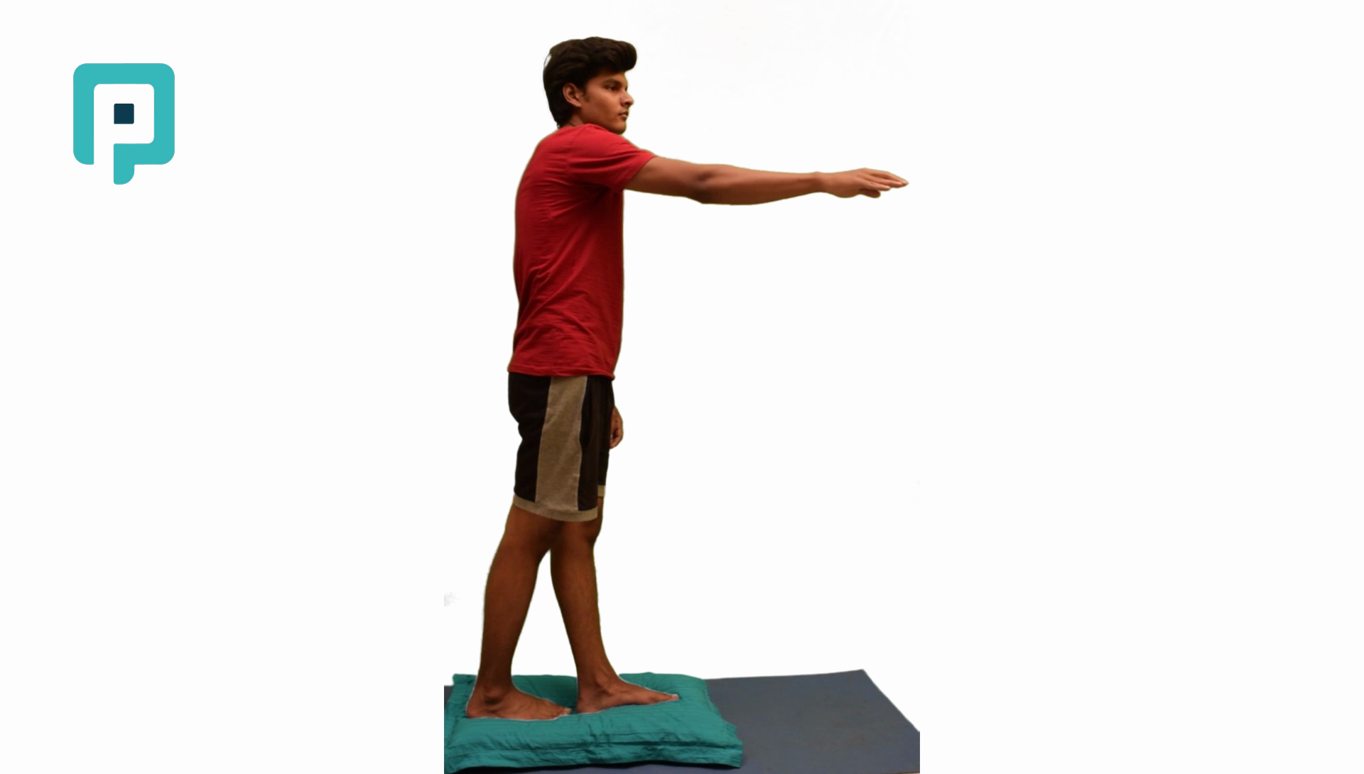 tandem stand on pillow reaching with one hand - beginner Lower Body exercise