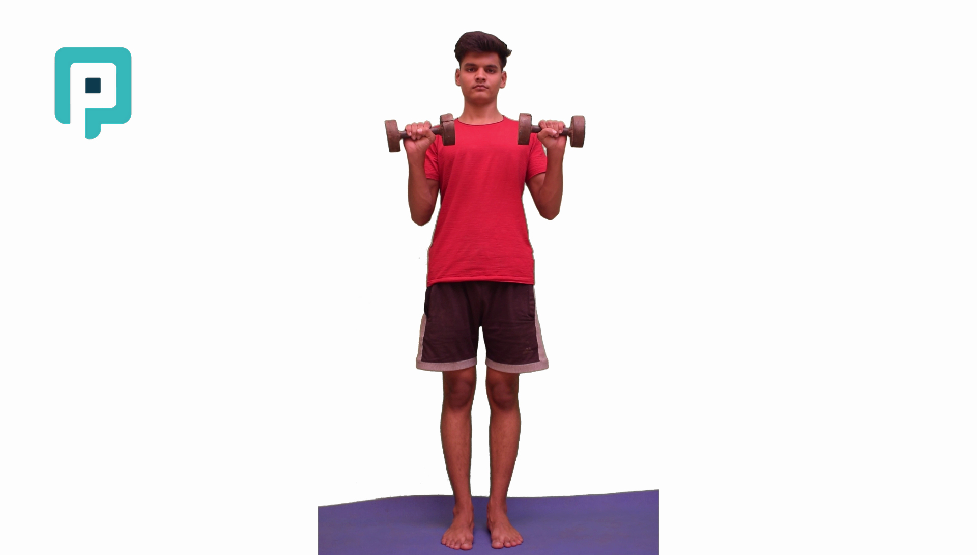 reverse grip bicep curl with dumbbell - beginner Upper Body exercise