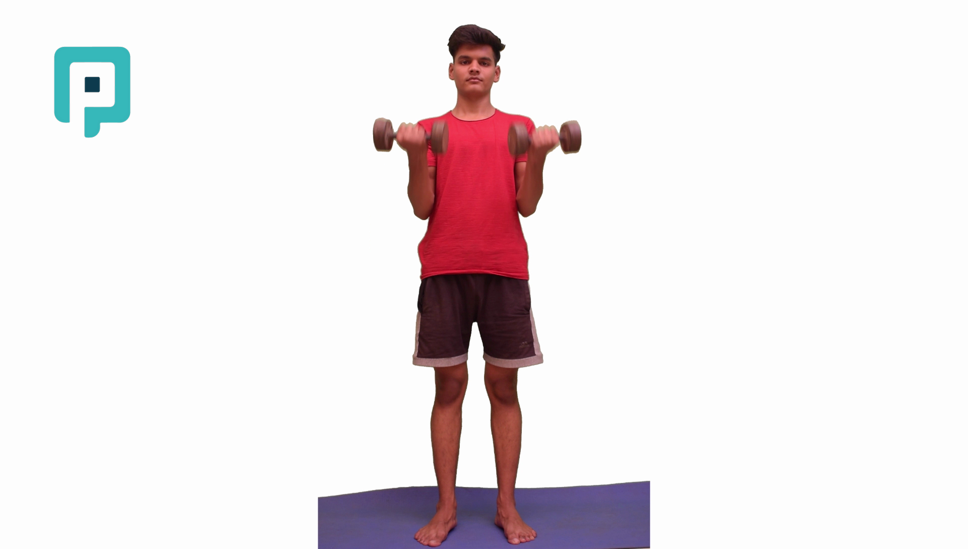 standing bicep curl with dumbbell - beginner Upper Body exercise