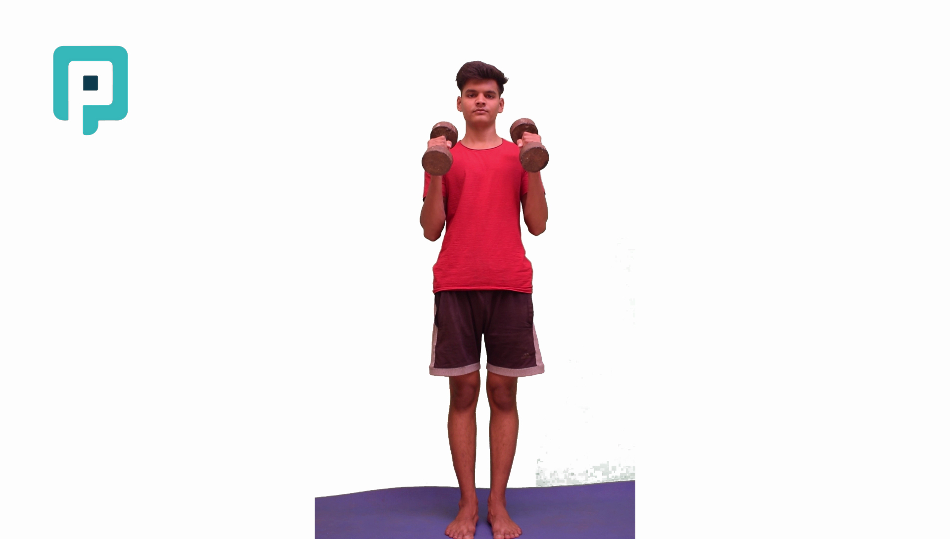hammer curl with dumbbell - beginner Upper Body exercise