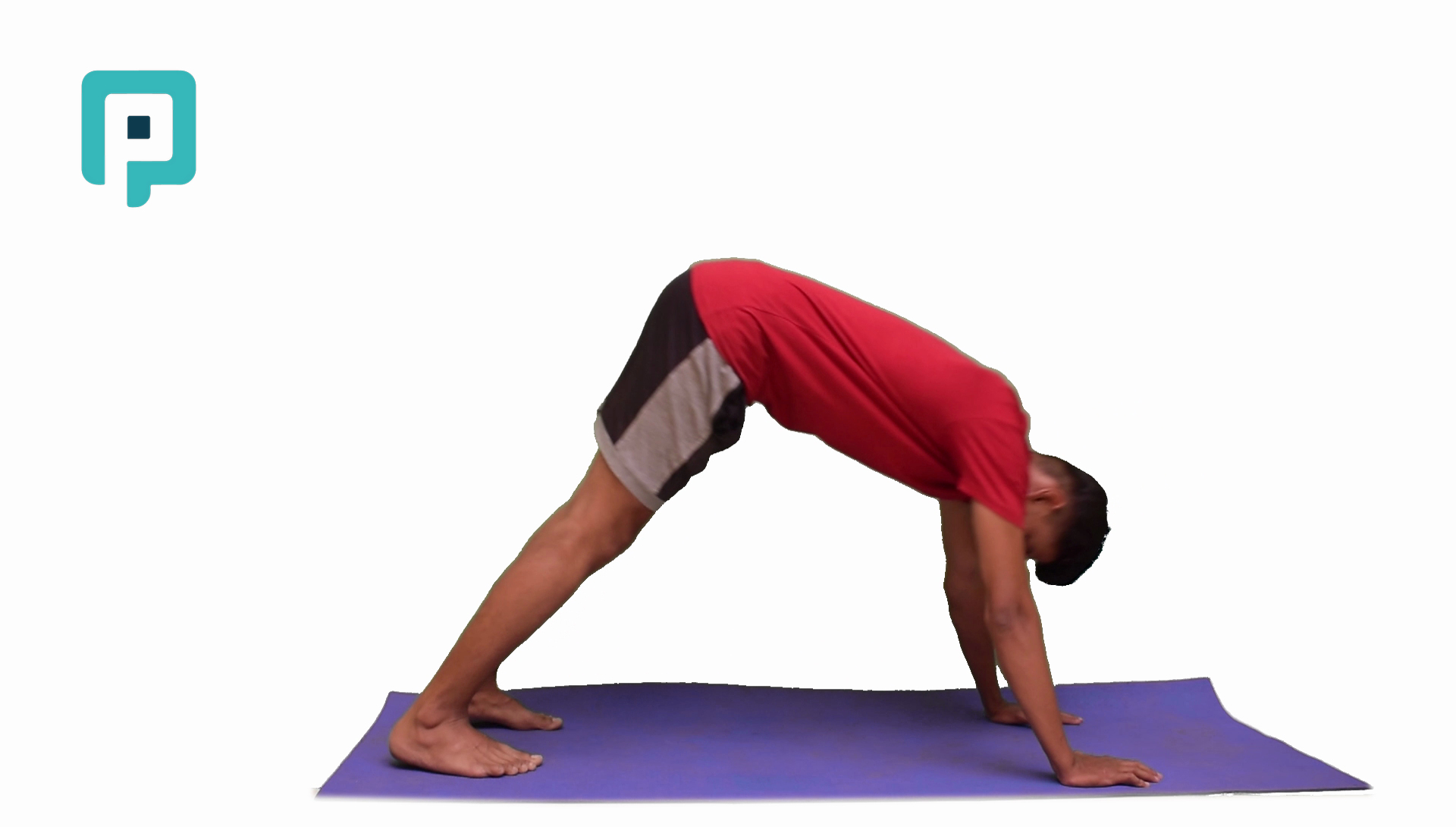 inchworm dyanamic stretching - beginner Upper Body exercise