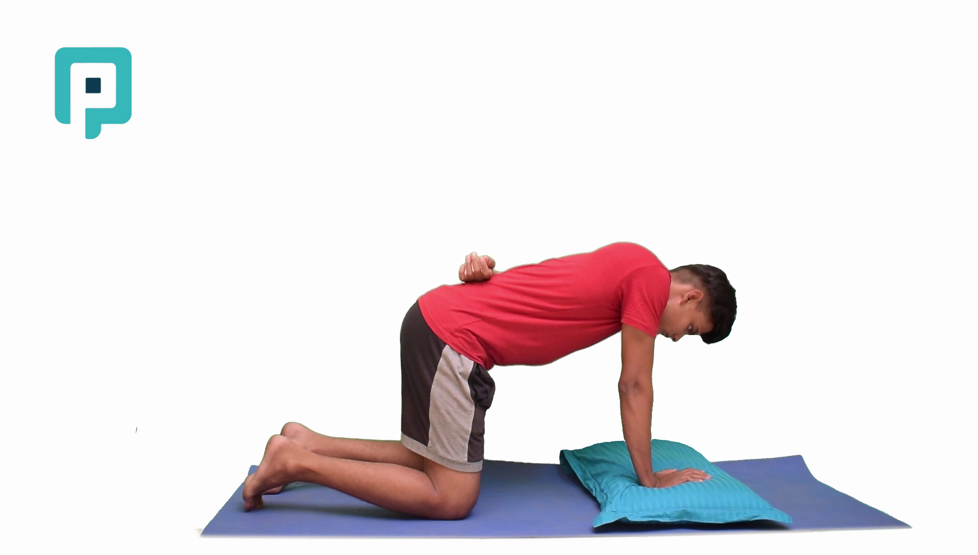 single arm scapular push up on pillow - beginner Upper Body exercise