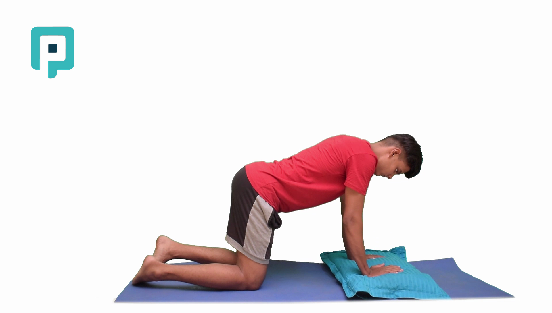 quadruped weight shift on pillow - beginner Upper Body exercise