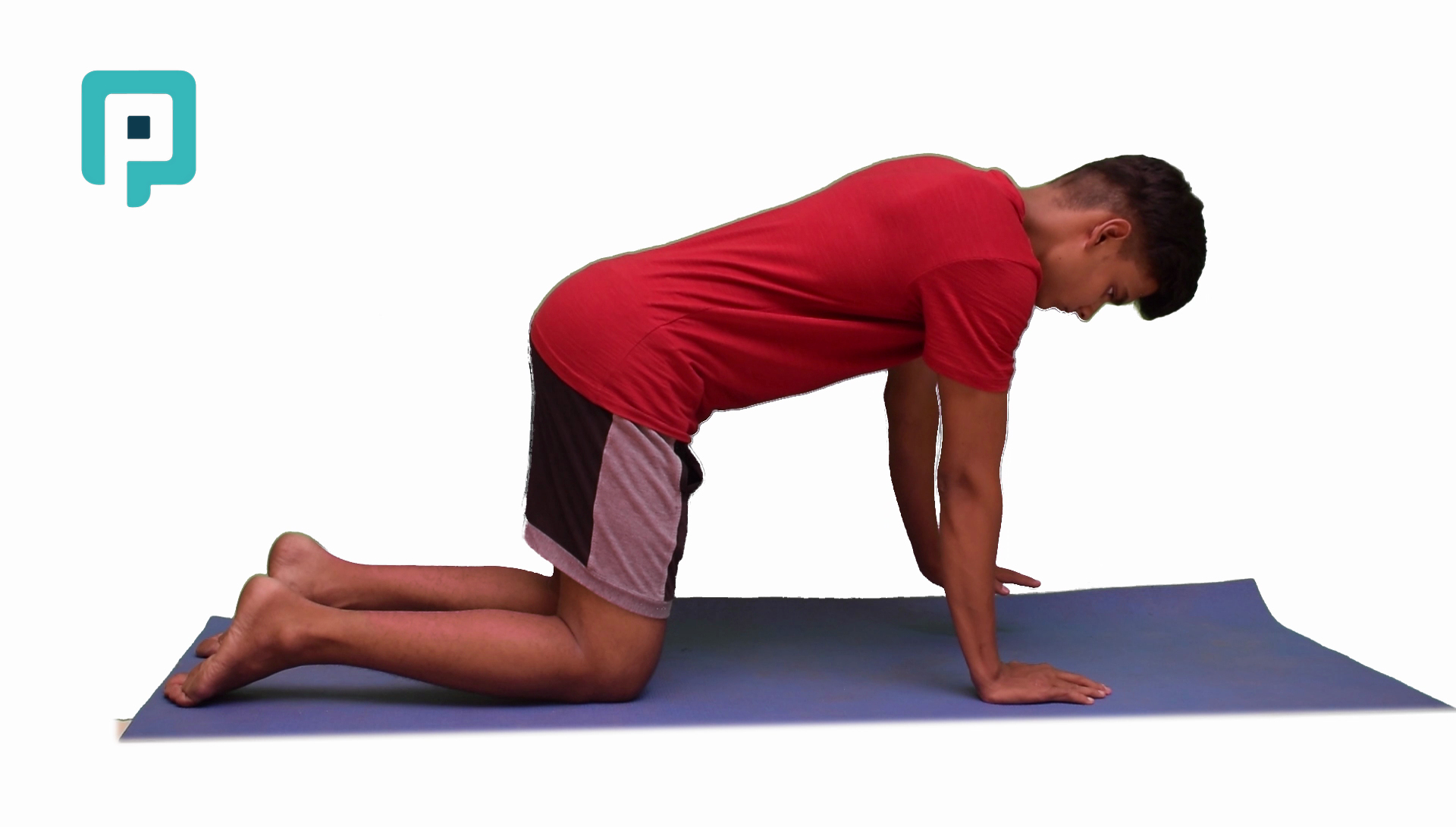 quadruped weight shift side to side - beginner Upper Body exercise