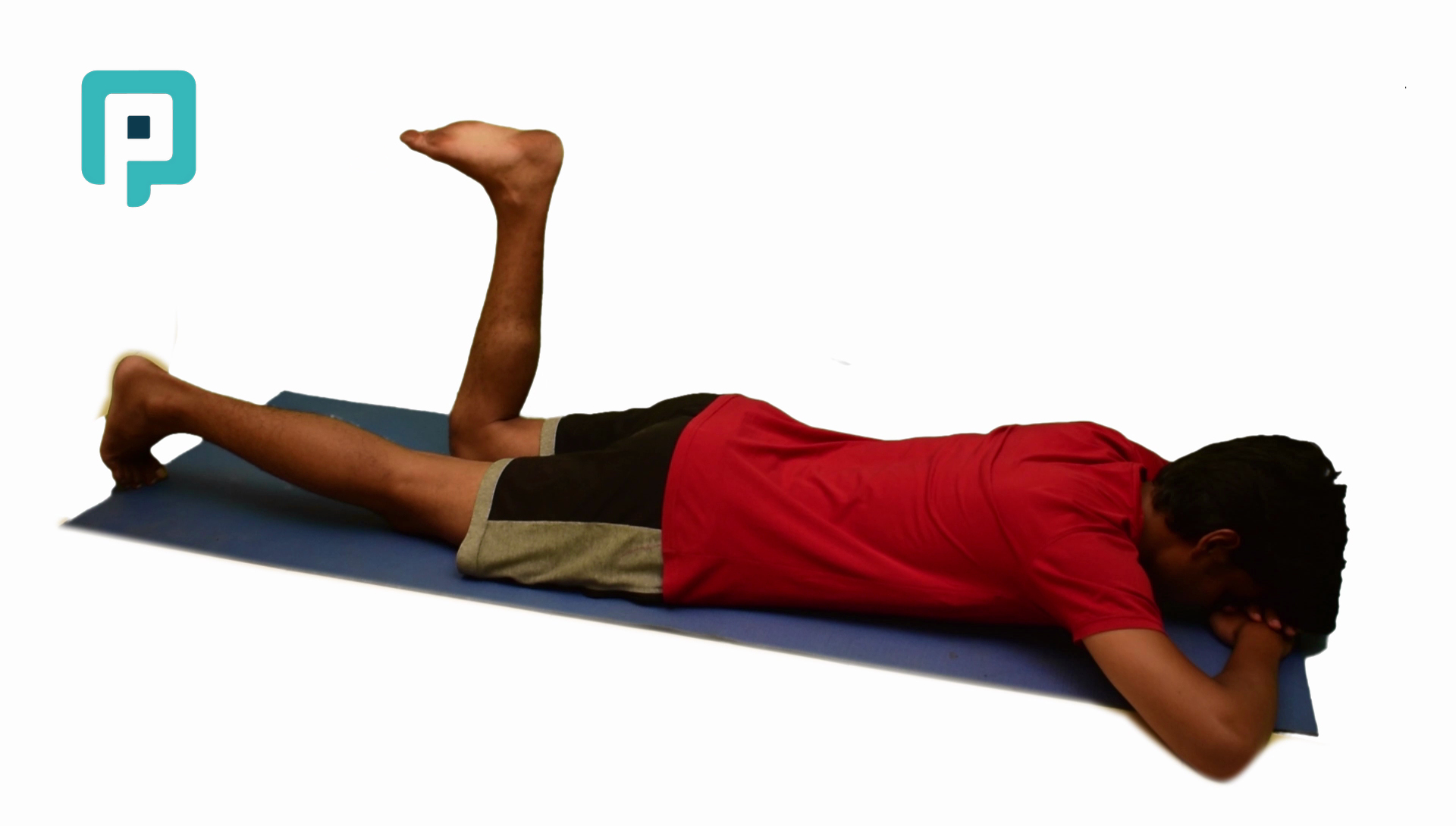 prone hip internal and external rotation with flexed knee - beginner Lower Body exercise