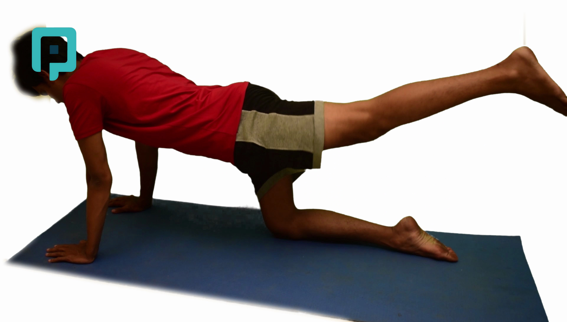 hip extension in quadruped position - beginner Lower Body exercise