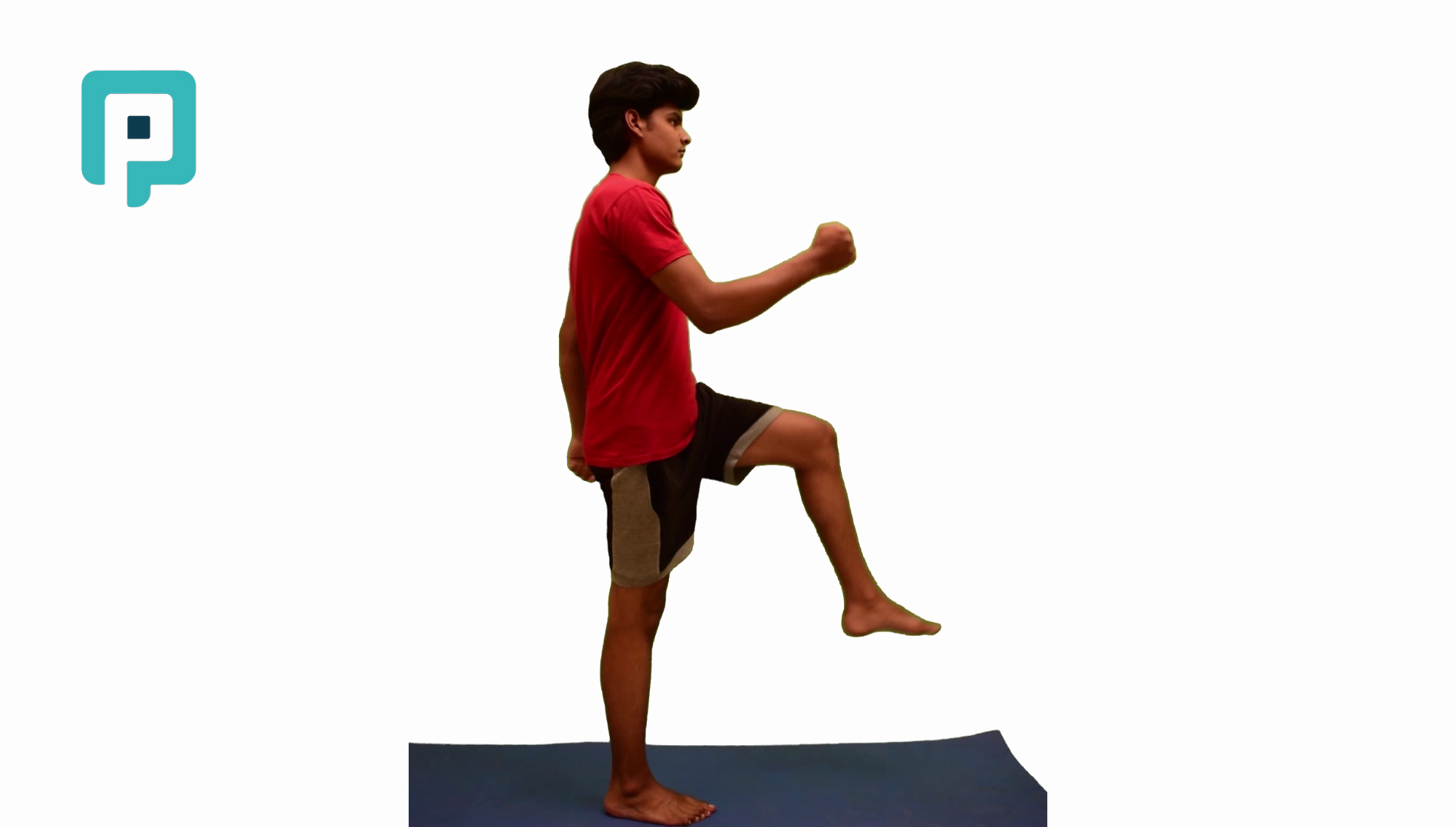 hurdle knee raise - beginner Lower Body exercise