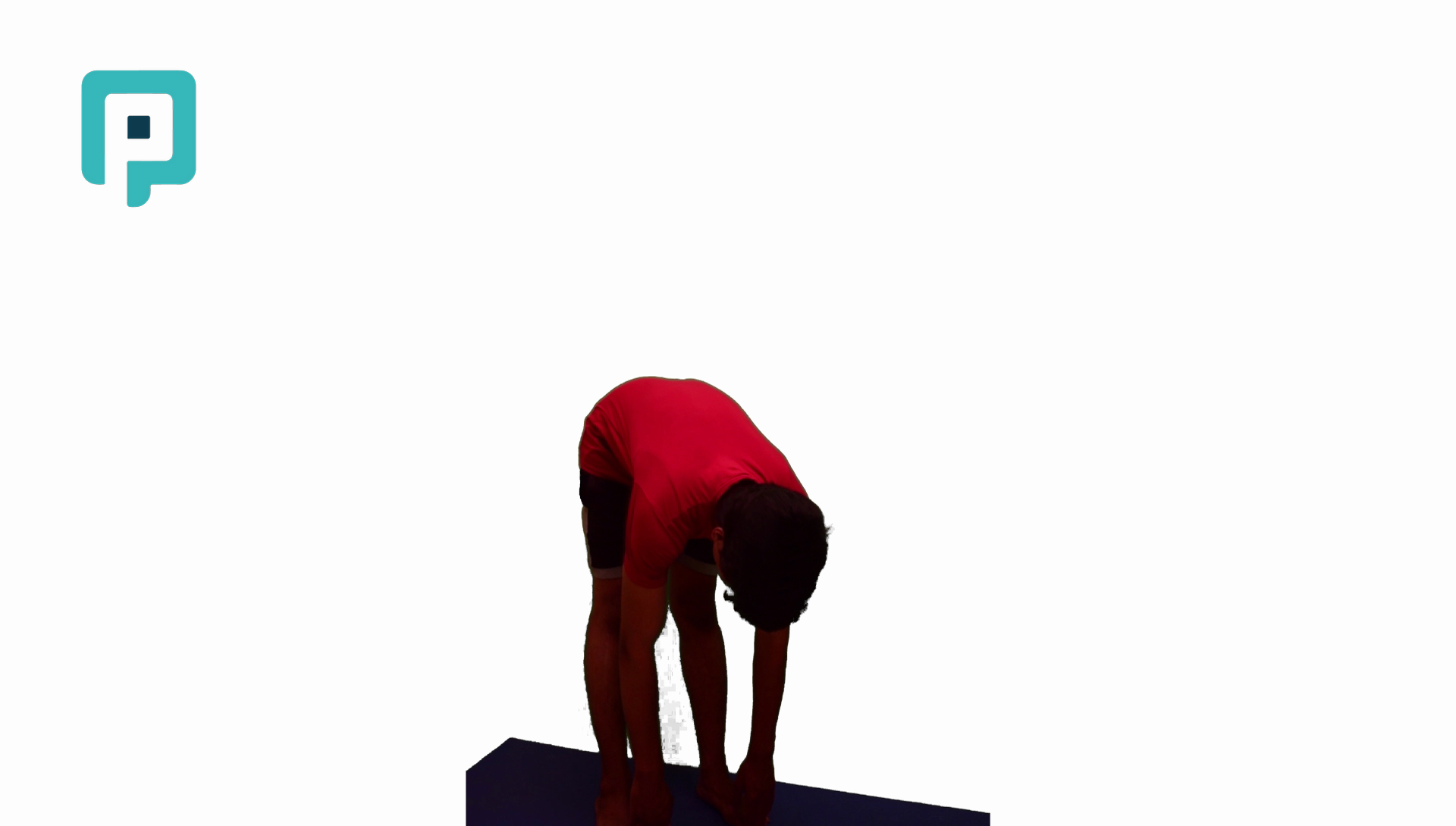 standing forward bend toe touch - beginner Lower Body exercise
