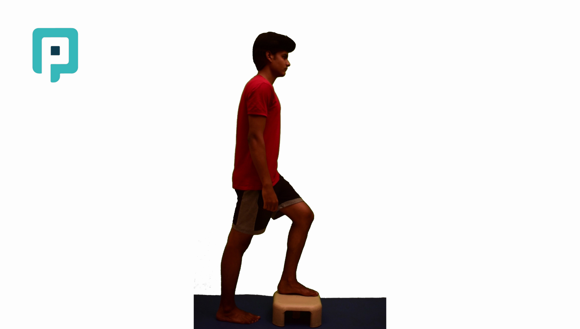 step up and down same side leading - beginner Lower Body exercise
